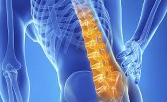 Kuyruk Sokumu Eğriliği Belirtileri ve Tedavisi